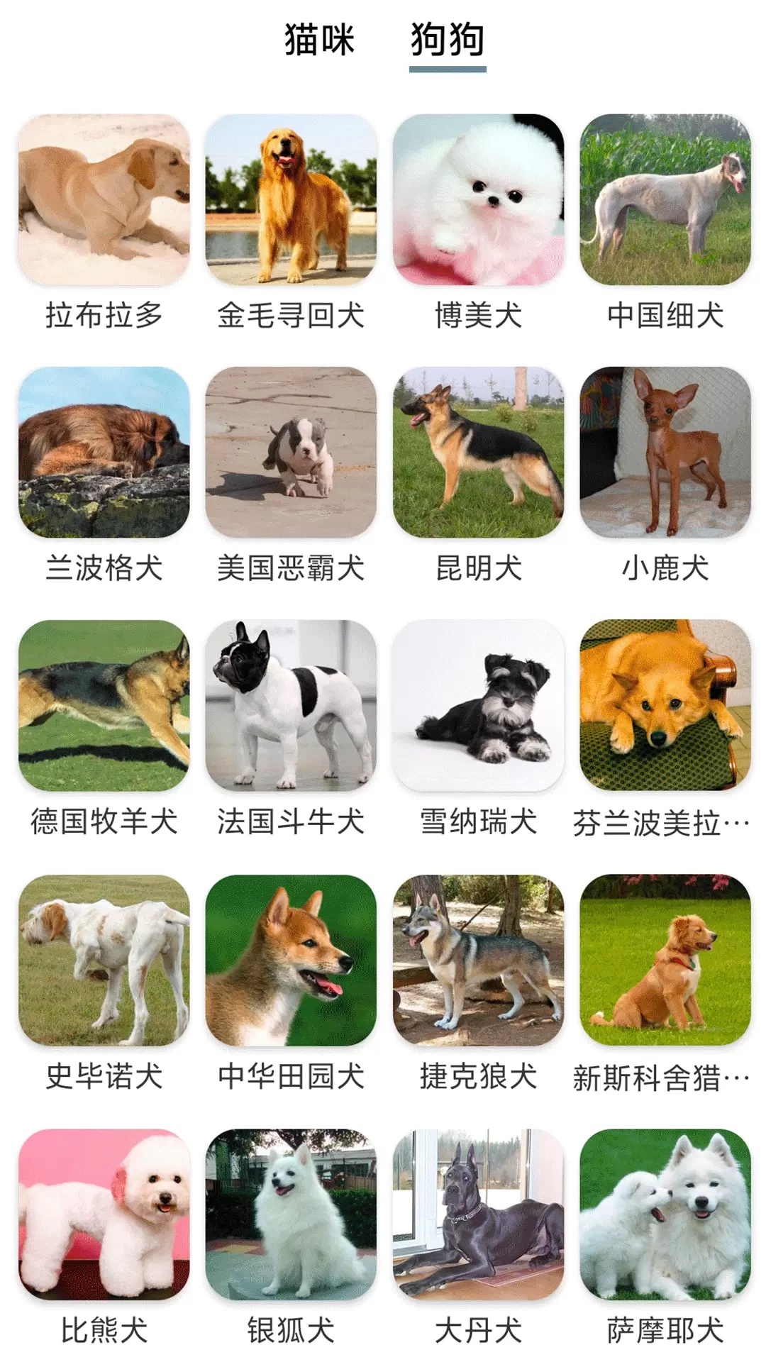 舞动来电秀软件图1