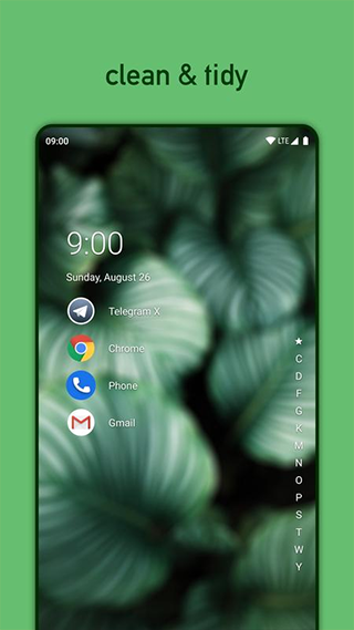 Niagara Launcher app图3
