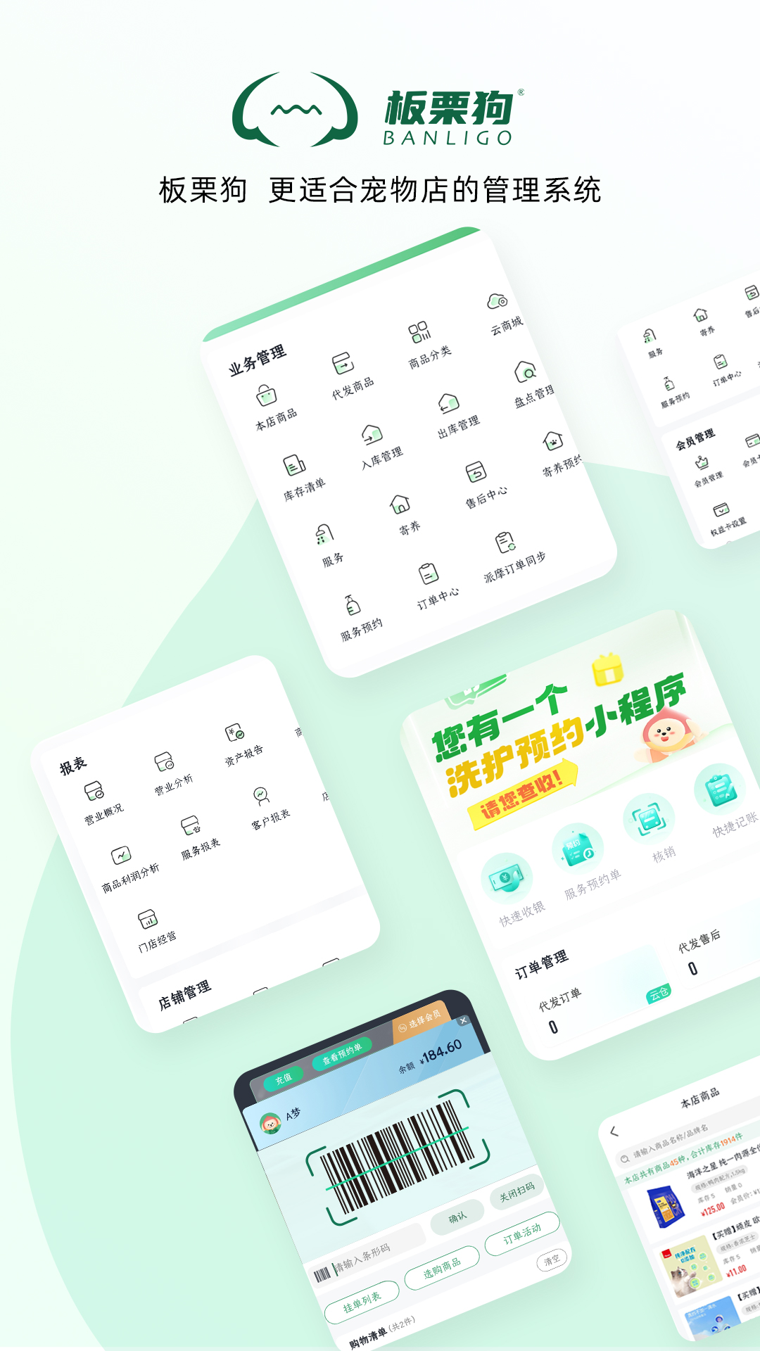 板栗狗app