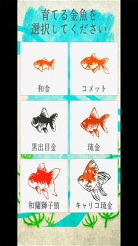 金魚育成游戏图3