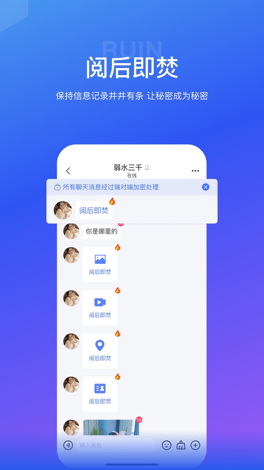 海鸥软件图3