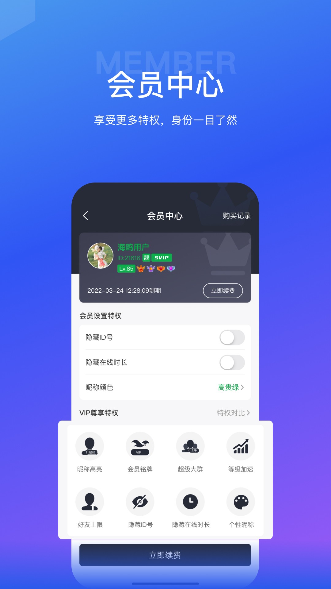 海鸥软件