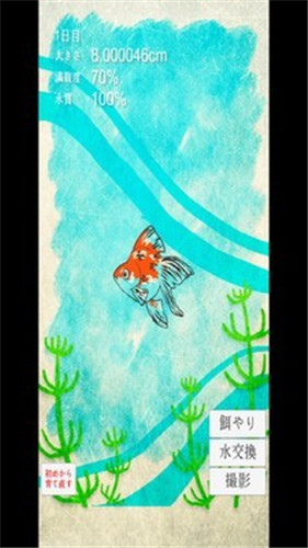 金魚育成游戏图2