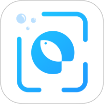 问鱼app