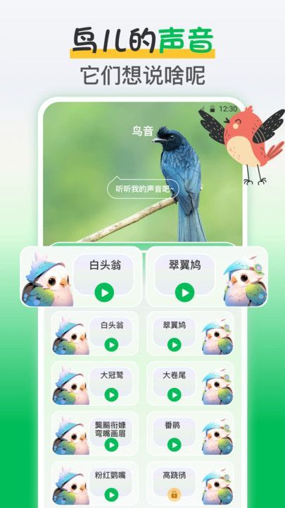 鸟语交流器手机版图4