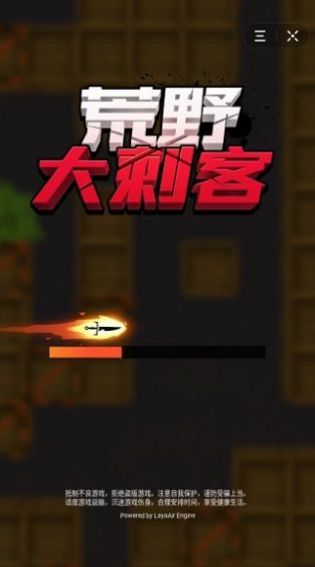 荒野大刺客游戏