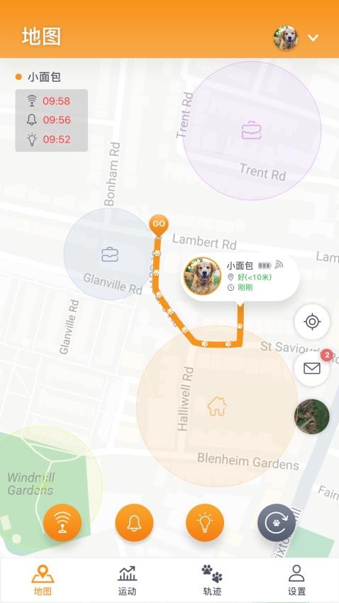 Pawfit 中文版软件图2