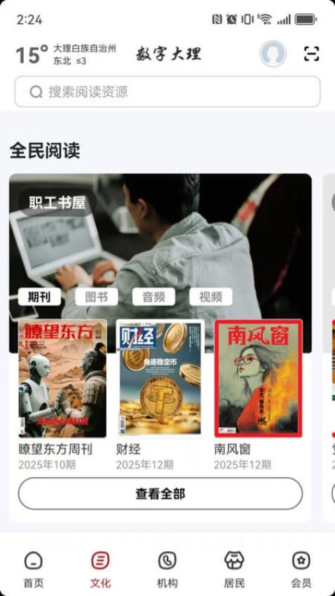 数字大理app