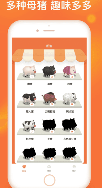 幸福金猪最新版图3