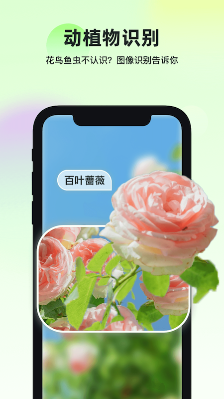 智能识万物软件图2