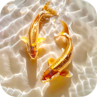 桌面养鱼壁纸app