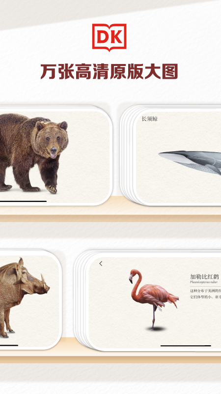 DK百科官网版图1