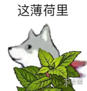 这并非河里表情包有哪些这并非河里表情包大全