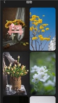 布丁壁纸库图5