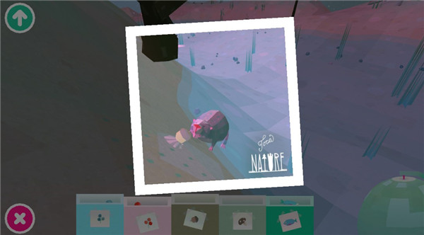 托卡大自然(Toca Nature)