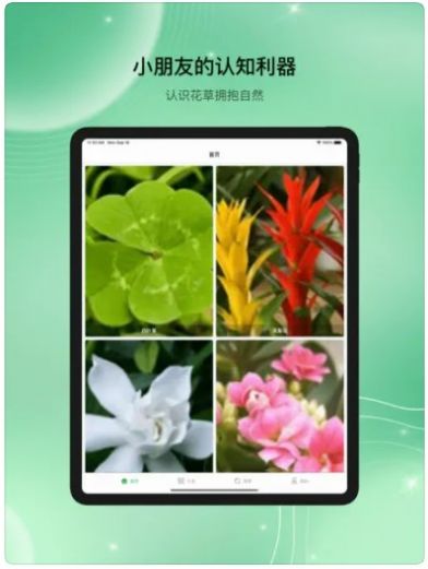 花草图鉴图3