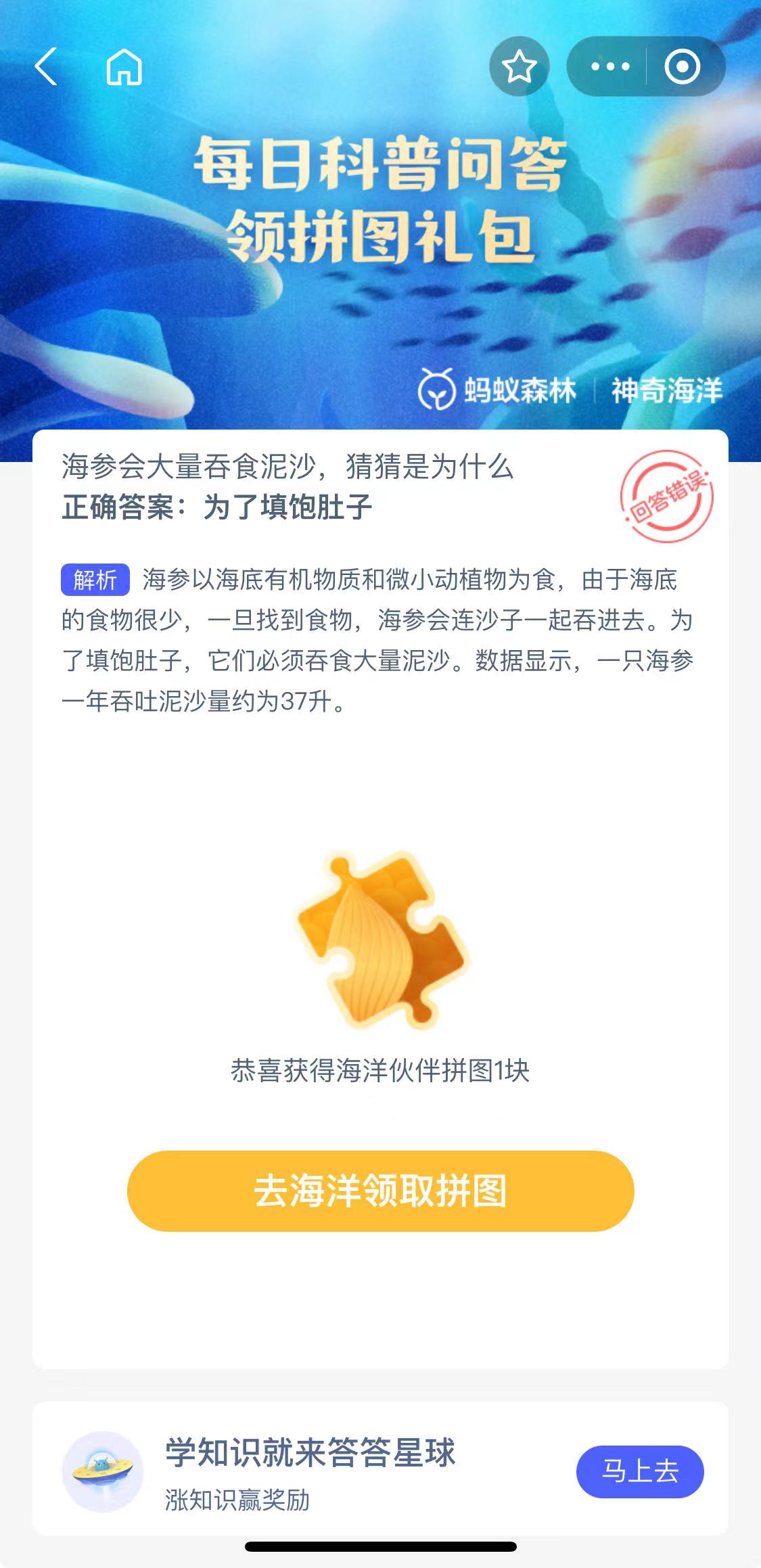 海参会吞食泥沙是为什么