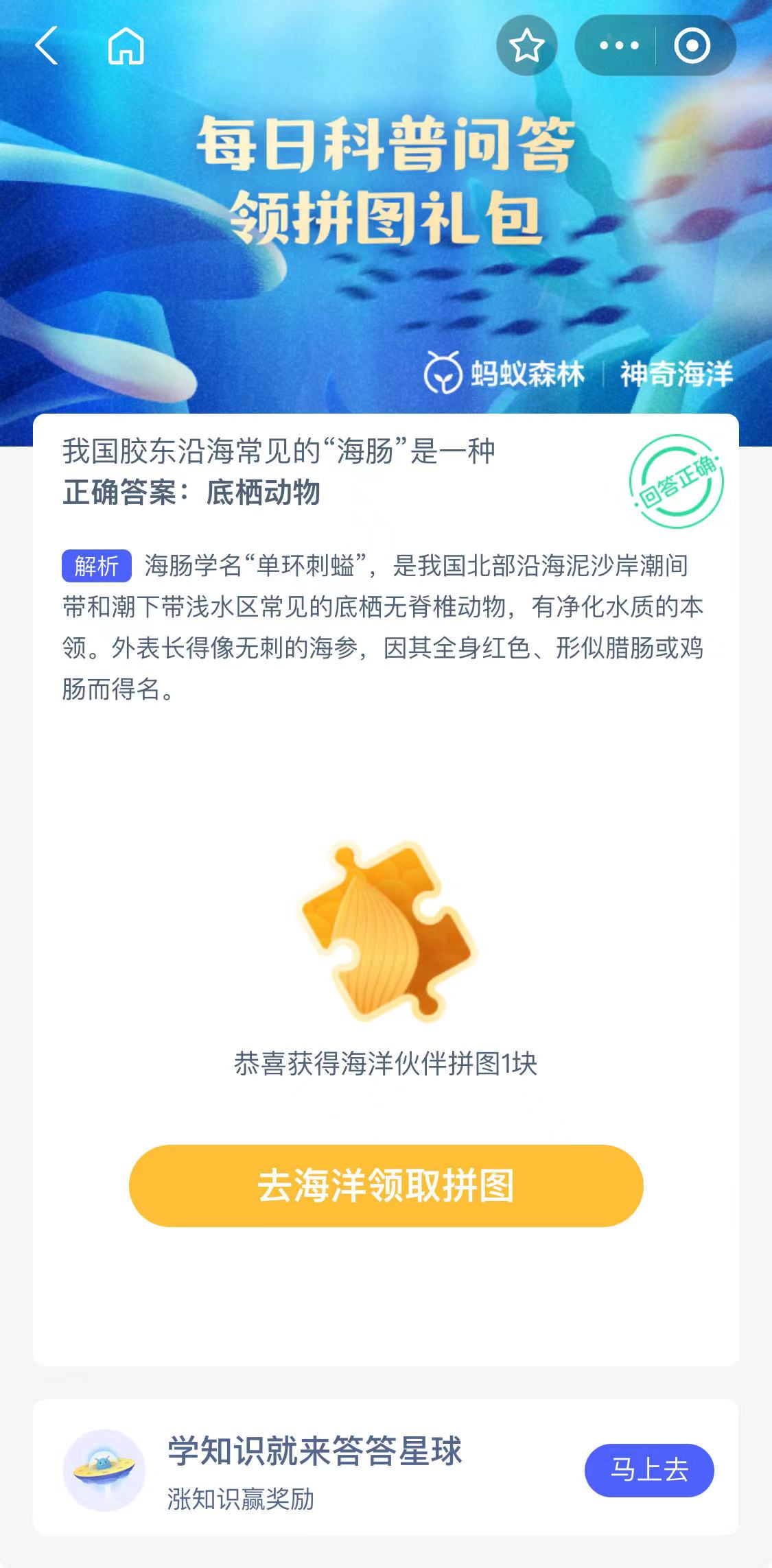 我国胶东沿海常见的“海肠”是一种