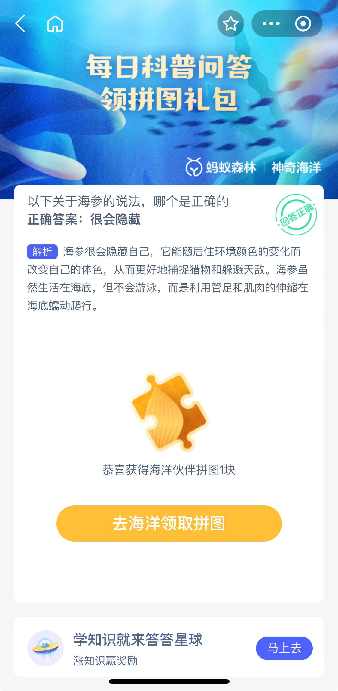 关于海参的说法哪个是正确的