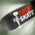 TrueSkate全地图