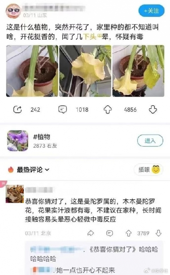 强者从不抱怨环境囧图朋友这颗粒感可用不得啊