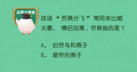 蚂蚁庄园5月10日答案成语劳燕分飞常用来比喻夫妻情侣别离,劳燕指的是