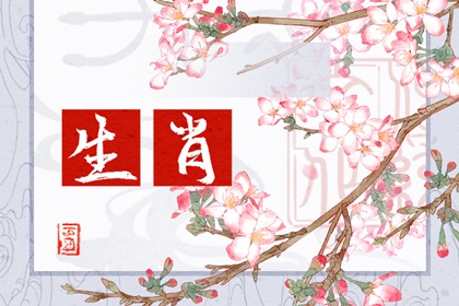 2023年12月26日冲什么生肖今日属相冲什么