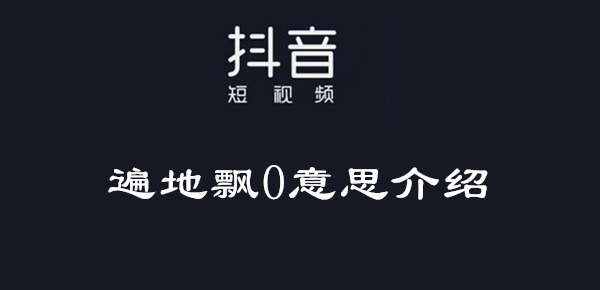 抖音遍地飘0意思介绍