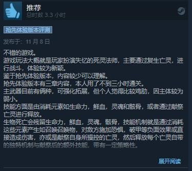 动作肉鸽游戏亡灵法师EA发售Steam评价“褒贬不一