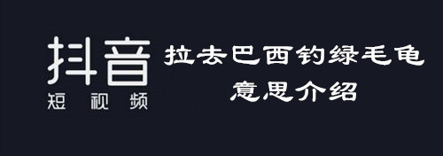 抖音拉去巴西钓绿毛龟意思介绍