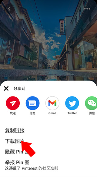 Pinterest下载安卓版怎么下载图片3