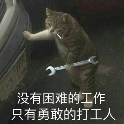 抖音打工人意思介绍