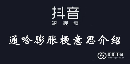 抖音通哈膨胀梗意思介绍