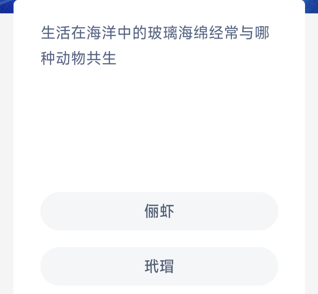 生活在海洋中的玻璃海绵经常与哪种动物共生