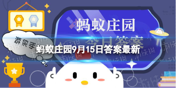 猜一猜:我们平时吃的菠萝是长在蚂蚁庄园9月15日答案最新