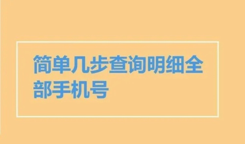 一证通查入口一证通查怎么查自己名下手机号一证通查手机号查询教程