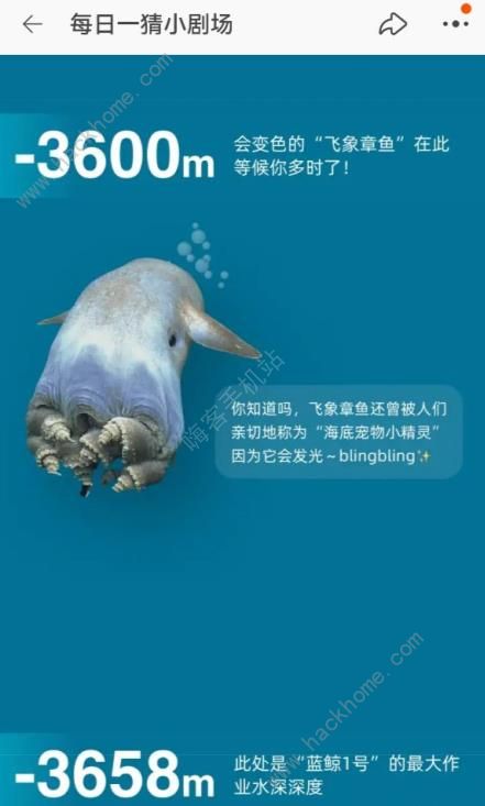 哪个动物可能看到泰坦尼克今日答案天猫淘宝大赢家6.27每日一猜答案分享