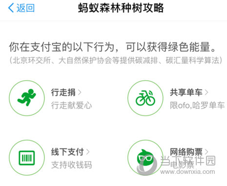 支付宝蚂蚁森林环保证书怎么获得环保证书获得方法