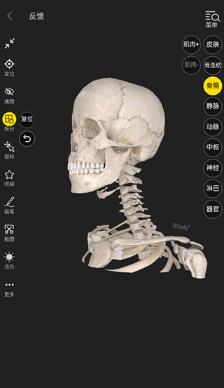 3dbody解剖app免费版