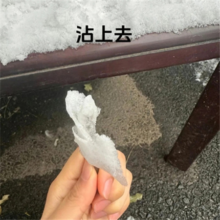 冬天冰雪玫瑰教程素材快艾特你的好朋友做冬天里的第一朵雪玫瑰