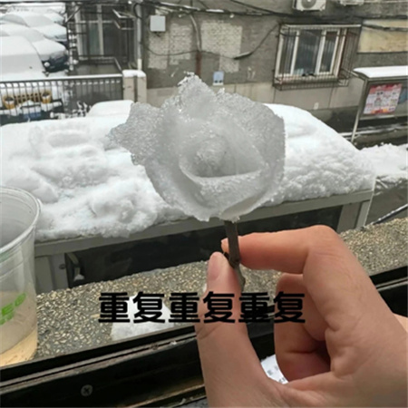 冬天冰雪玫瑰教程素材快艾特你的好朋友做冬天里的第一朵雪玫瑰