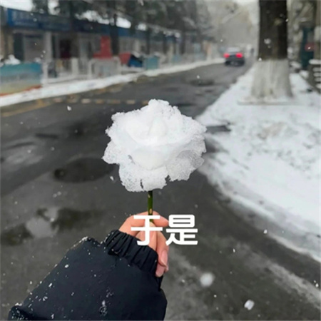 冬天冰雪玫瑰教程素材快艾特你的好朋友做冬天里的第一朵雪玫瑰