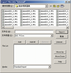 Director8.5简单基础实例教程一