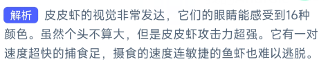 以下关于皮皮虾的说法哪个是正确的