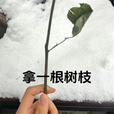 冬天冰雪玫瑰教程素材快艾特你的好朋友做冬天里的第一朵雪玫瑰