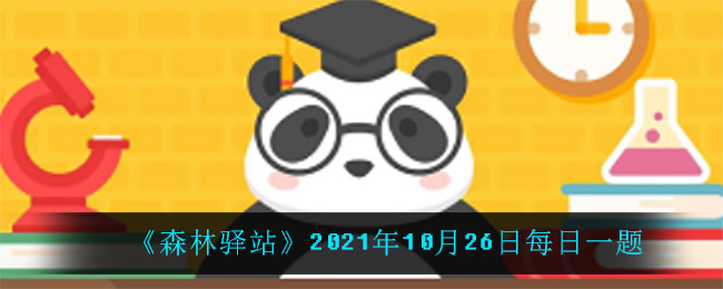 森林驿站2021年10月26日每日一题