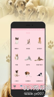 狗语猫语翻译器2020最新版图6