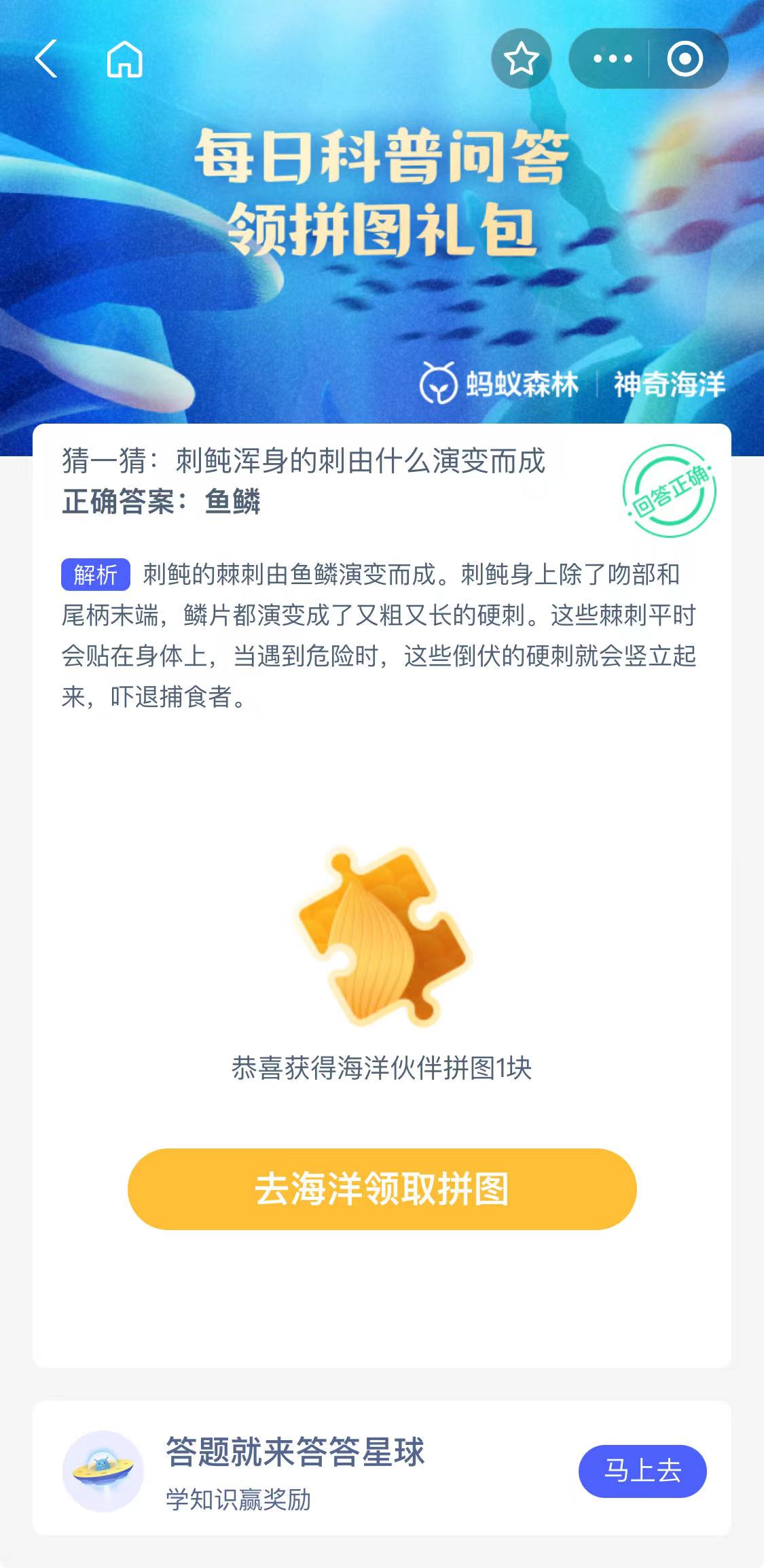 刺鲀浑身的刺由什么演变而成