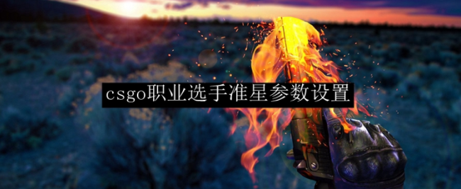 CSGO职业选手b1t准星和持枪视角参数分享