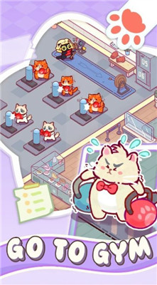 猫咪健身房图5